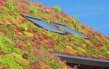 Coalpit Field living roof systems