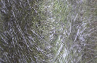 Coalpit Field fibreglass roof work